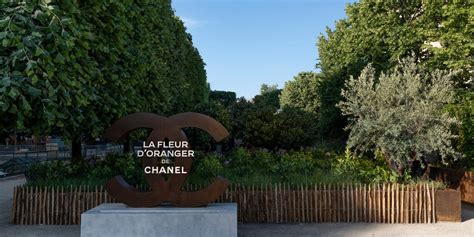 La Fleur d'Oranger de Chanel s'installe dans l'exposition Jardins .